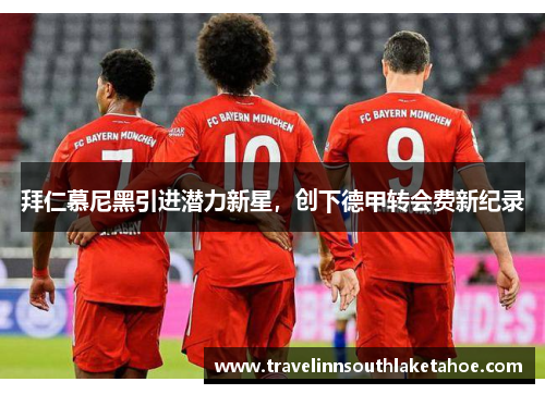 拜仁慕尼黑引进潜力新星，创下德甲转会费新纪录